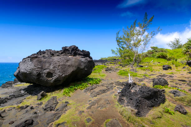 istock Typical landscape with volcanic rock, Reunion Island 1395010113