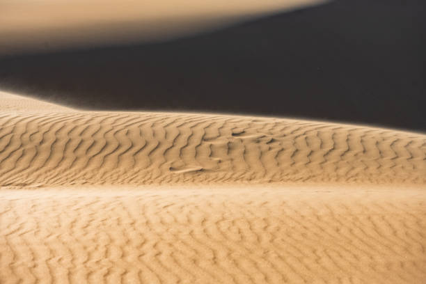 istock Namibia, the Namib desert, graphic landscape 1395010195