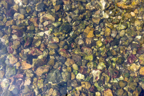 istock The clear water of the river chess 1395010823