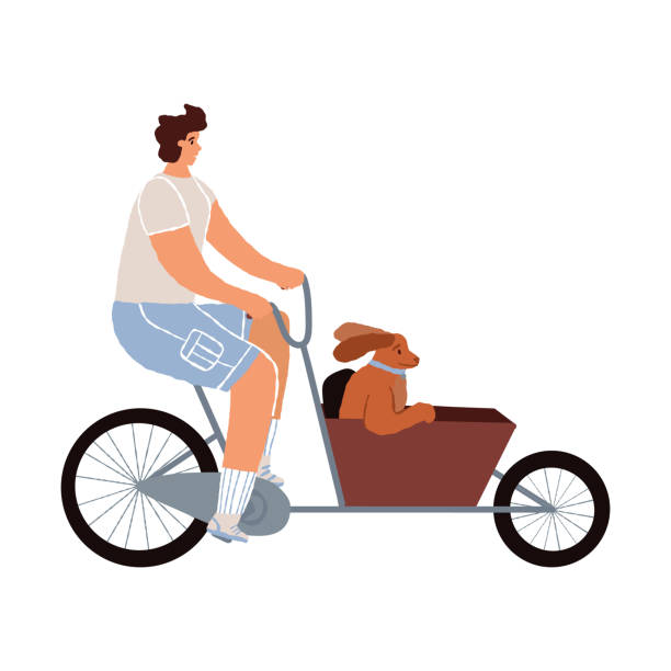 der mann fährt ein lastenrad oder ein bakfiets-fahrrad, sein hund mit wegfliegenden ohren sitzt im wagen. traditioneller transport in den niederlanden für outdoor-familienzeitvertreib oder reiten mit haustieren oder schweren einkaufstaschen. - lastenrad stock-grafiken, -clipart, -cartoons und -symbole