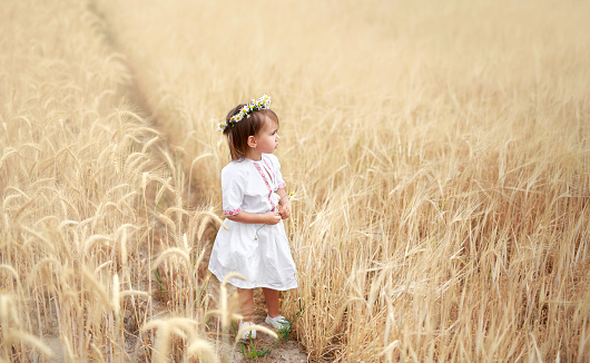 Little pensive girl in national Belarusian white clothes with a red ornament with a wreath of daisies on her head. Child in a golden wheat field looks warily thoughtfully from the side