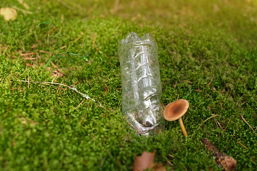 Problem of nature pollution. In moss next to mushroom there is plastic bottle thrown away by a person, littering nature. Concept of environmental protection. Harm from Non-degradable plastic products