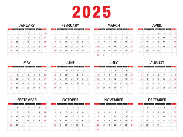illustrazioni stock, clip art, cartoni animati e icone di tendenza di illustrazione vettoriale dell'anno solare 2025. la settimana inizia la domenica, modello di design del pianificatore semplice, calendario da scrivania 2025 anno, modello di calendario da parete 2025, stampa, pubblicità - evento annuale