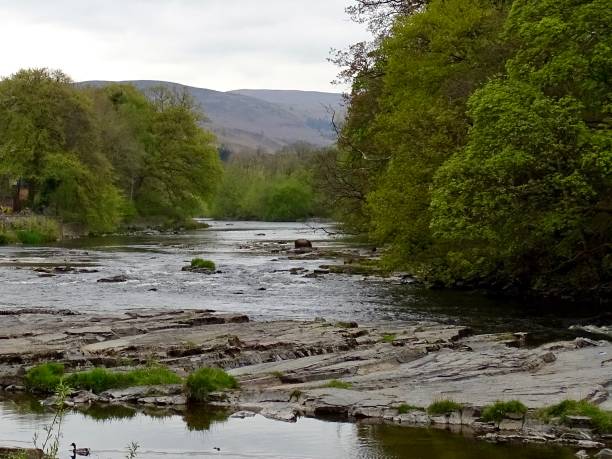 the river dee near llangollen in north wales - dee river river denbighshire wales imagens e fotografias de stock