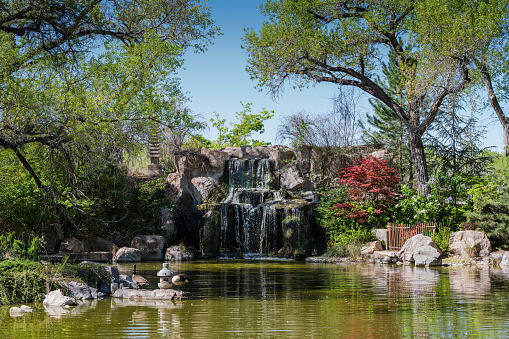 Photo overlooking a lake and waterfall in a park during spring in Albuquerque, New Mexico.