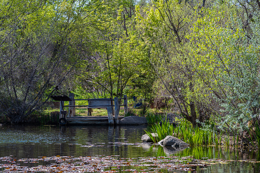 Albuquerque, New Mexico -- April 22, 2022. A 175mm photo of a beautiful pond  in a park in Albuquerque, NM