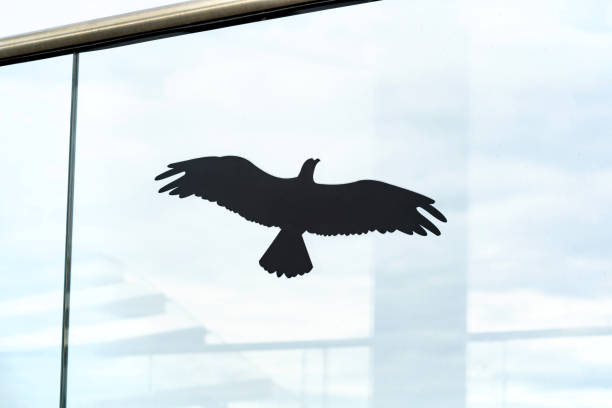 Anti collision black bird shape silhouette glass window sticker on a bridge object detail, closeup, nobody. Birds infrastructure building protection concept, no people