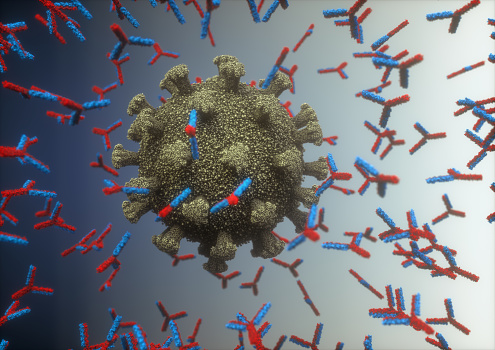 Immunological system, antibodies attacking the virus covid-19. 3D illustration, concept of the body's defense system. Y-shaped antibody attacking the virus.