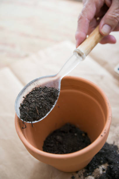 istock Human hand with a big spoon adding soil to a clay pot. Directly above. 1395022811
