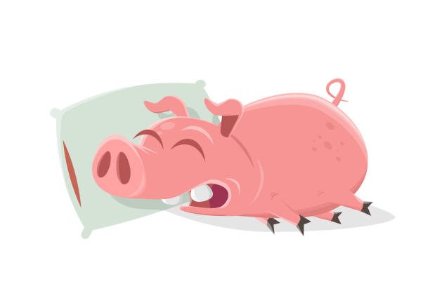 Ugly Pig Illustrations, Royalty-Free Vector Graphics & Clip Art - iStock