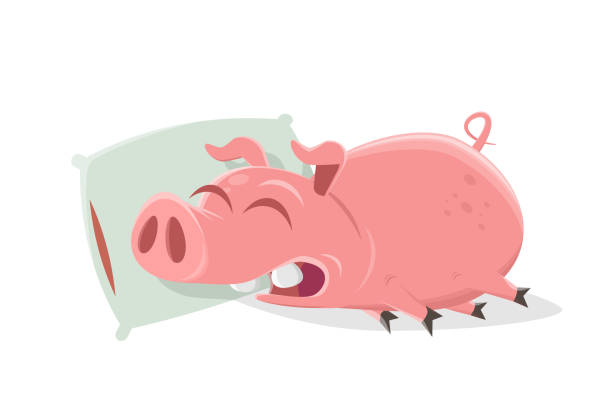 Ugly Pig Illustrations, Royalty-Free Vector Graphics & Clip Art - iStock Ugly Pig Illustrations, Royalty-Free Vector Graphics & Clip Art - iStock