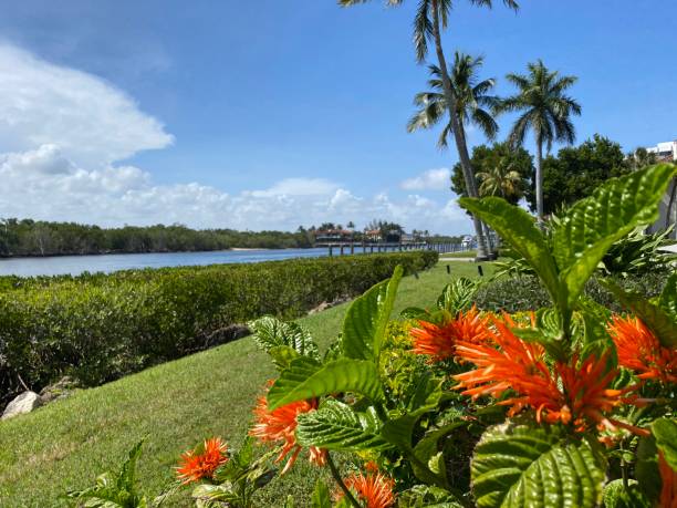 istock Intracoastal Waterway Boca Raton Florida 1395024992