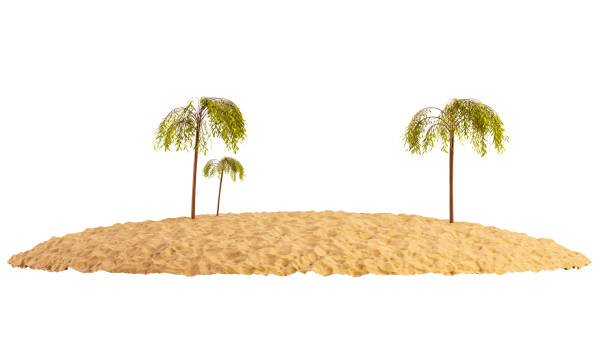 isla arenosa con palmeras aisladas sobre un fondo blanco. pedazo de playa redonda con arena. isla tropical, render 3d. - isla fotografías e imágenes de stock
