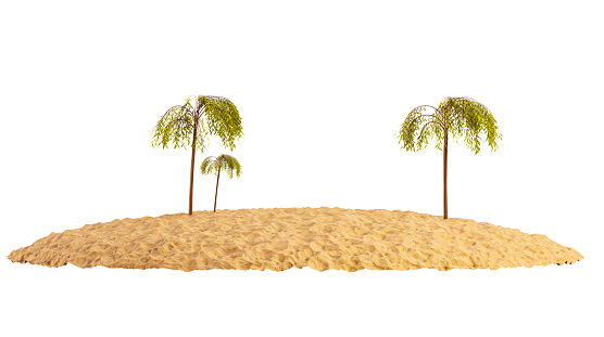 Sandy island with palm trees isolated on a white background. Piece of round beach with sand. Tropical island, 3d render.