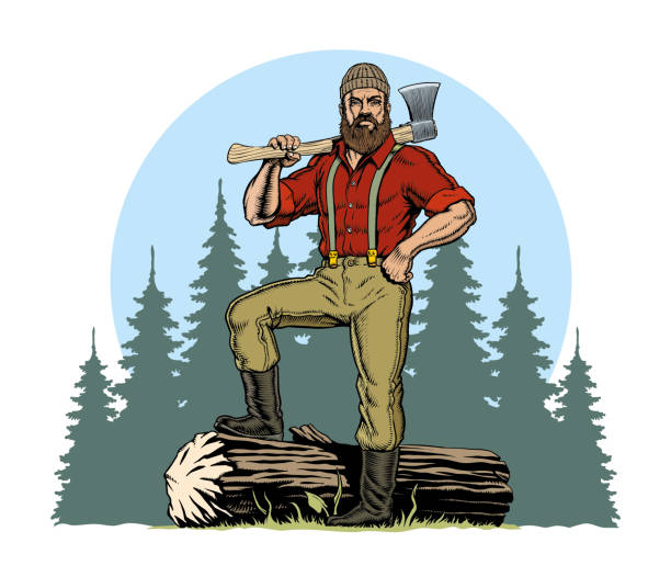 ilustraciones, imágenes clip art, dibujos animados e iconos de stock de leñador con hacha y tronco derribado, fondo forestal. ilustración vectorial - leñador