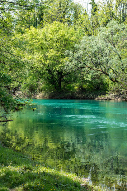 istock Calm river and green trees 1395032405