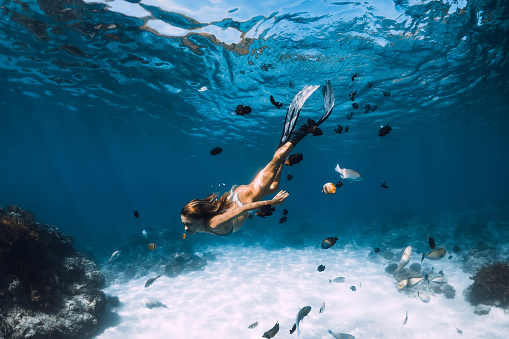 Belleza freediver dama con aletas se desliza bajo el agua con peces en el océano azul transparente photo