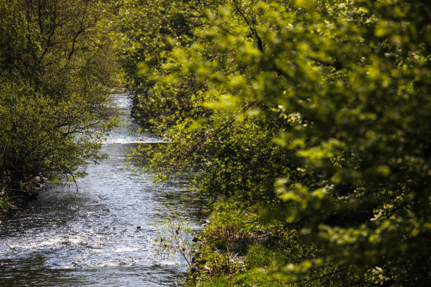 istock the river sieg in germany in spring 1395036280