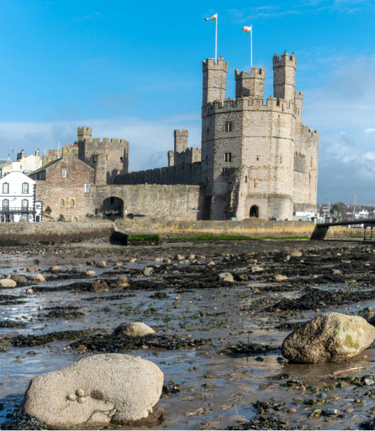 caernarfon castle und fluss seiont bei ebbe, in der späten nachmittagssonne. - caenarvon castle caernarfon castle wales stock-fotos und bilder