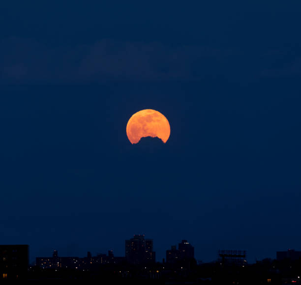 Full Moon Over the City
