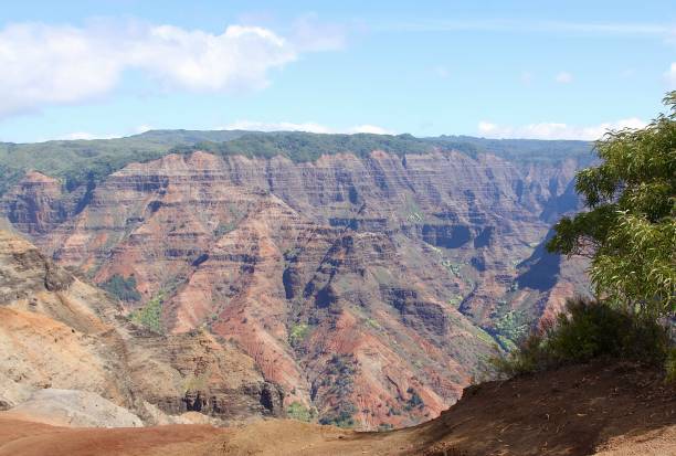 istock Waimea Canyon In Hawaii 1395043303