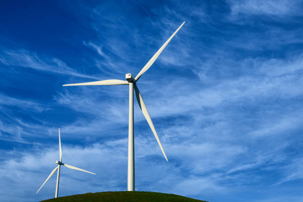 Wind Turbines on hills, with clouds in background and cow in foreground.Taken in Gustine, California, USA