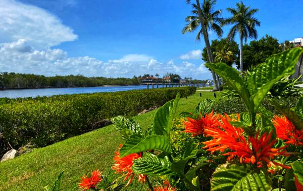 istock Intracoastal Waterway Boca Raton Florida 1395048684