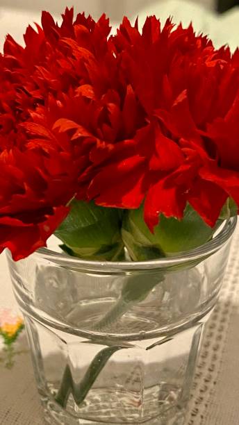 istock decoration - red - petal 1395055699