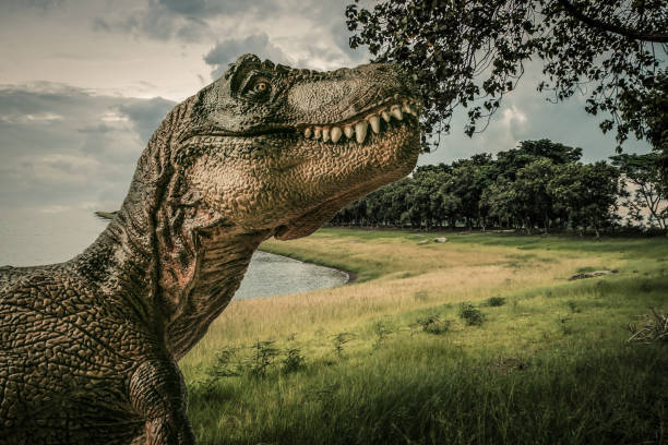 istock dinosaur , T-rex   with tree branches against on the nature 1395058139