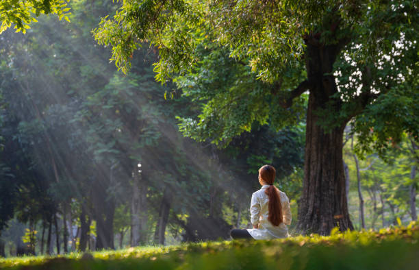 atrás da mulher relaxando praticando meditação na floresta para alcançar a felicidade da sabedoria da paz interior com feixe de luz solar para a mente e a alma saudáveis - buddhist festival - fotografias e filmes do acervo