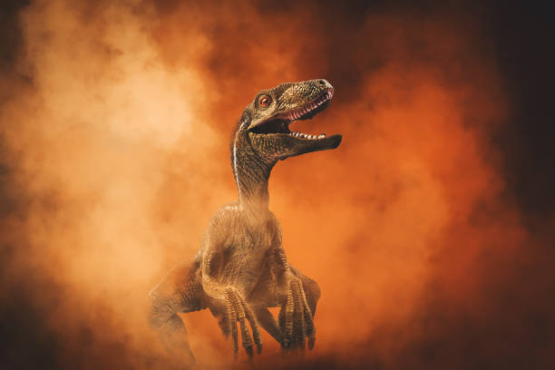 dinosaur , Velociraptor on smoke background dinosaur , Velociraptor on smoke background raptor dinosaur stock pictures, royalty-free photos & images