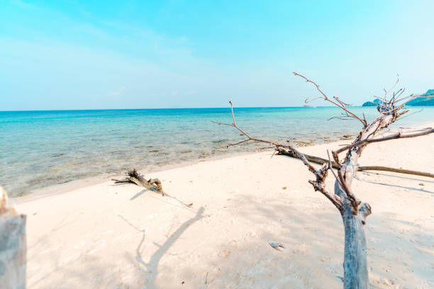 istock beach on a tropical island in the afternoon 1395069803