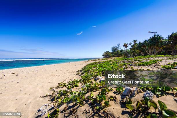 Beach Of Saint Pierre Ile De La Reunion Stock Photo - Download Image Now - Réunion - French Overseas Territory, Beach, Island