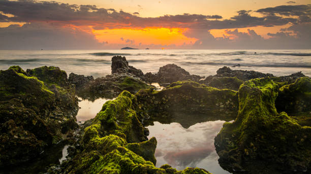 istock sunset landscape on the beach rocks in foreground 1395070850