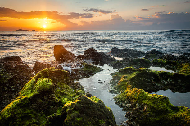 istock sunset landscape on the beach rocks in foreground 1395070857