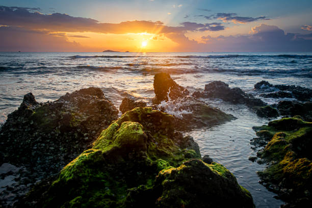 istock sunset landscape on the beach rocks in foreground 1395070879