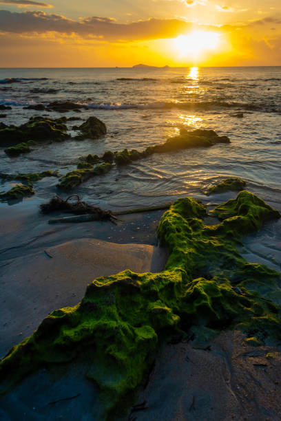 istock sunset landscape on the beach rocks in foreground 1395070885