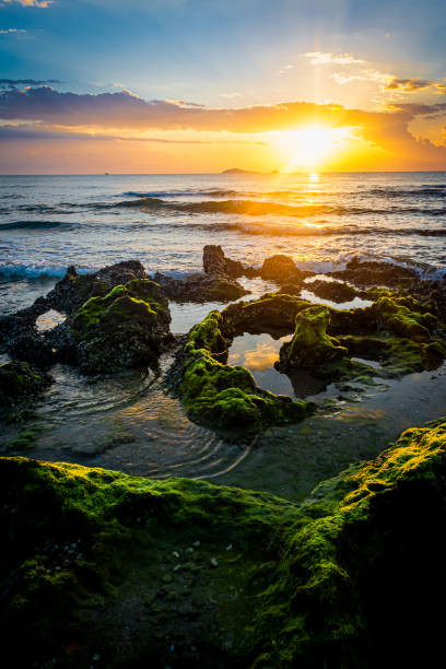 istock sunset landscape on the beach rocks in foreground 1395070889
