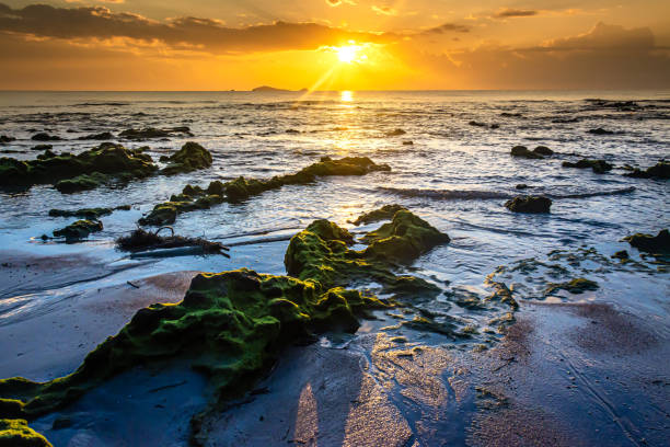 istock sunset landscape on the beach rocks in foreground 1395070894