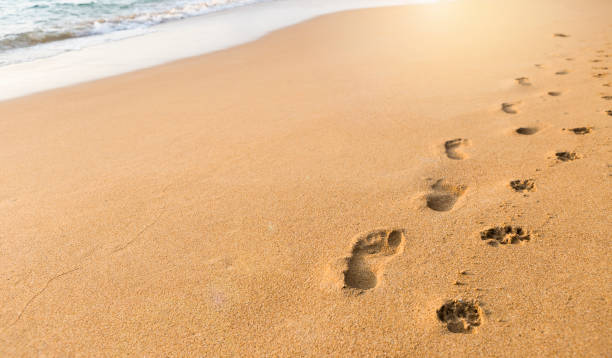 istock Foot print on clean sandy beach, nature concept 1395078064