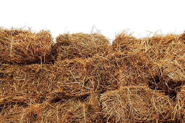 istock Hay stored bales isolated on white 139507970