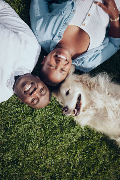 снимок молодой пары, лежащей на траве со своей собакой в саду дома - couple affectionate relaxation high angle view стоковые фото и изображения