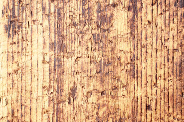 wooden board with natural pattern. light wood texture as background