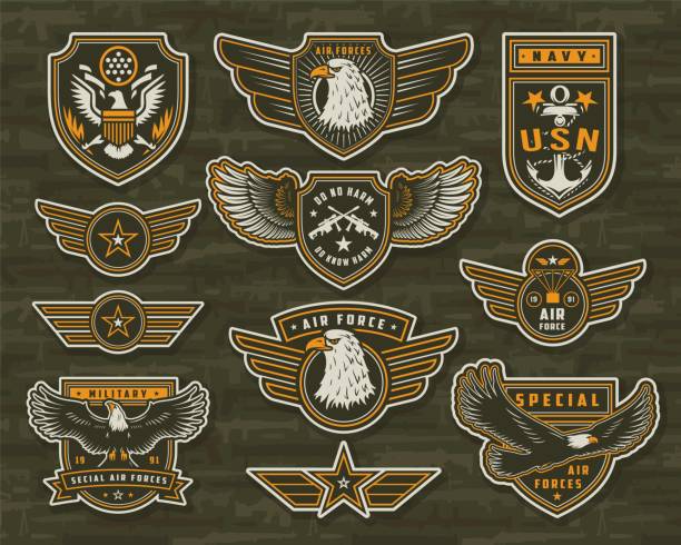 빈티지 무장 휘장 및 배지 - army military sign insignia stock illustrations