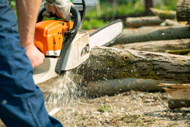 istock worker sawing with a chainsaw into pieces a long trunk of a tree, farm work 1395091348