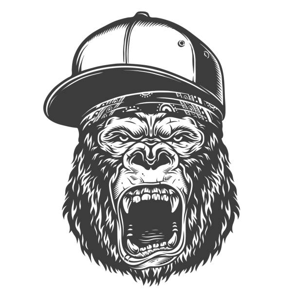 Head of gorilla Vector illustration, angry gorilla head in the baseball hat on a white background smirk stock illustrations