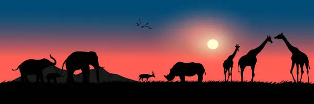 Vector illustration of graphics drawing landscape view outdoor animals elephant deer rhino giraffe with sunset on the ground for wallpaper background vector illustration