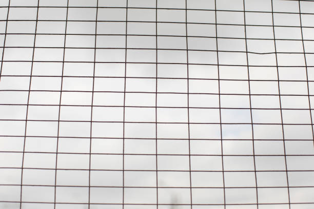 istock Lattice against gray sky. Steel cage. 1395095205