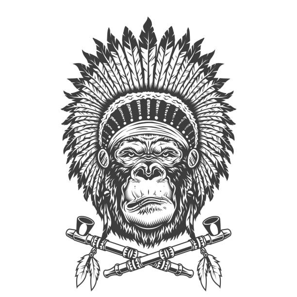 Native american chief gorilla head Native american chief gorilla head with feathers headwear and crossed smoking pipes isolated vector illustration apache culture stock illustrations