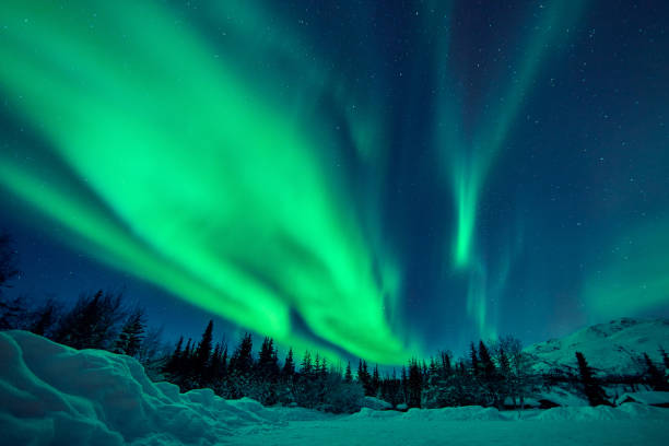 istock Green Aurora Borealis, Alaska, USA 1395096013